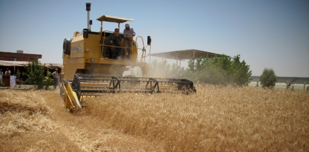 Harvesting_in_Iraq.jpg